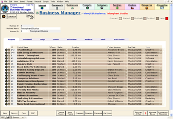 Triumphant Business Manager screenshot