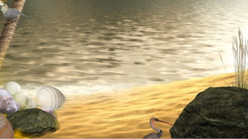 Tropical Beach 3D screenshot 3
