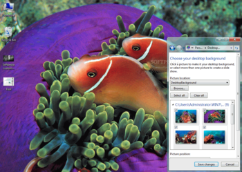Tropical Fish Windows 7 Theme screenshot