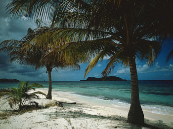Tropical Island Landscapes III screenshot