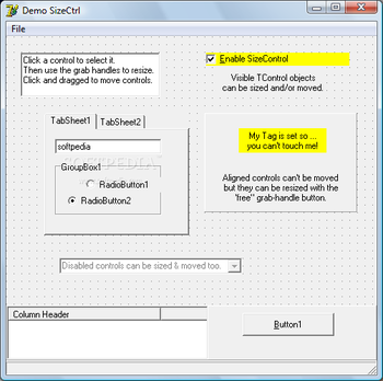 TSizeCtrl screenshot