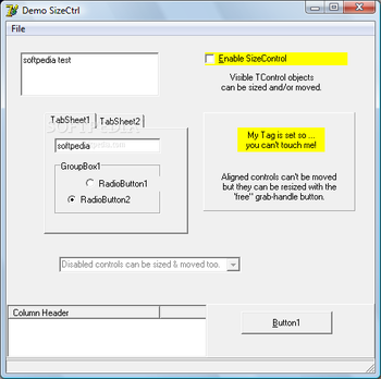TSizeCtrl screenshot 2
