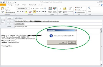 TuneReplyAll for Microsoft Outlook 2010 screenshot 3