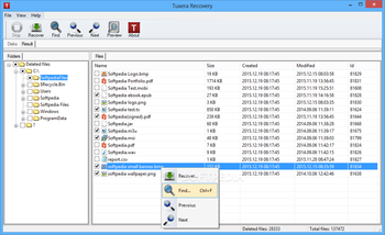 Tuxera Recovery screenshot
