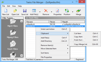 Twins File Merger screenshot