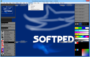 TwistedBrush Liquid Studio screenshot 12