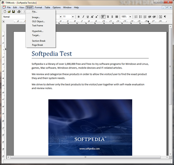 TX Text Control ActiveX screenshot 3