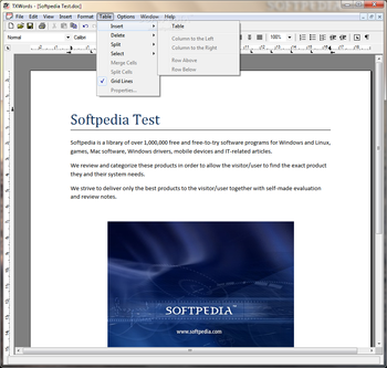 TX Text Control ActiveX screenshot 5