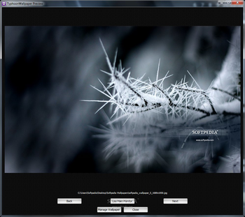 TyphoonWallpaper screenshot 2