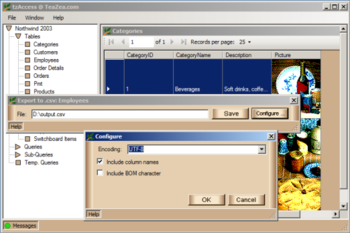 tzAccess  screenshot