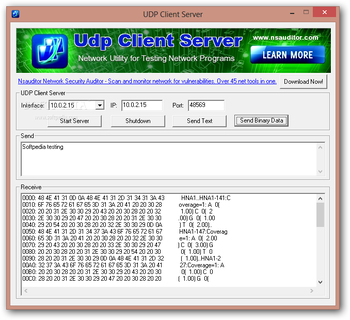 UDP Client Server screenshot