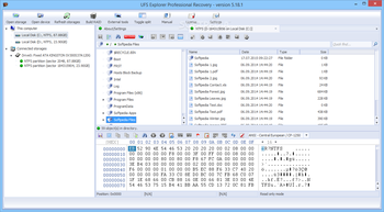 UFS Explorer Professional Recovery screenshot 2