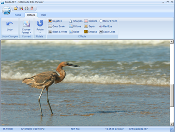 Ultimate File Viewer screenshot