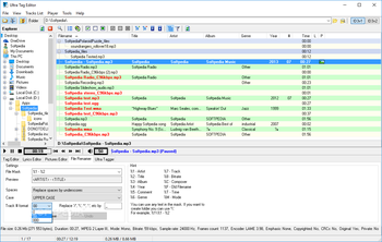 Ultra Tag Editor screenshot 10