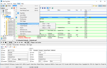 Ultra Tag Editor screenshot 6