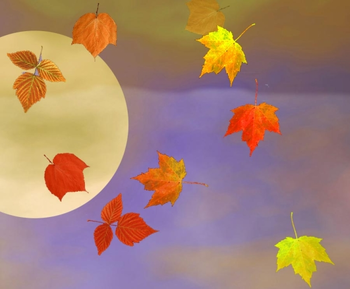 Unique 3D Falling Autumn Leaves screenshot