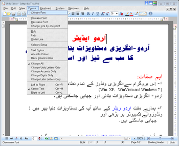 Urdu Editor screenshot 2
