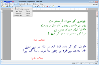 Urdu Reader screenshot 3