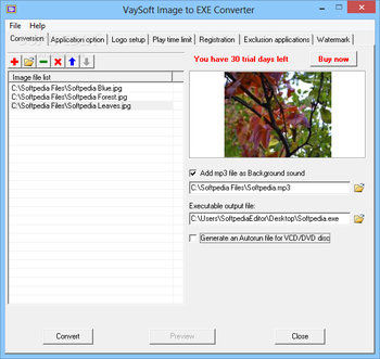 VaySoft Image to EXE Converter screenshot