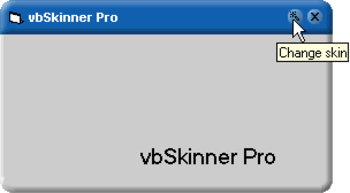 vbSkinner Pro screenshot 3