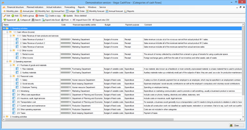 Vega: CashFlow screenshot 10