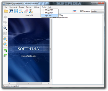 VeryPDF OCR to Any Converter screenshot 6