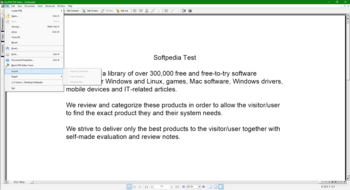 VeryPDF PDF Editor screenshot 2