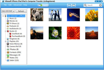 Vibosoft iPhone iPad iPod to Computer Transfer screenshot 3