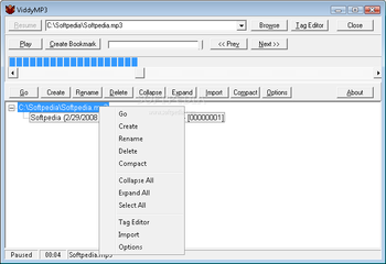 ViddyMP3 screenshot