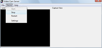 Video Cam Server screenshot