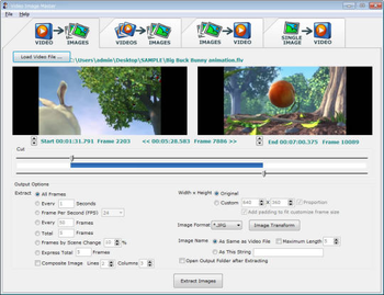 Video Image Master Express screenshot