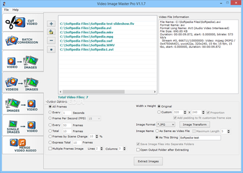 Video Image Master Pro screenshot 4