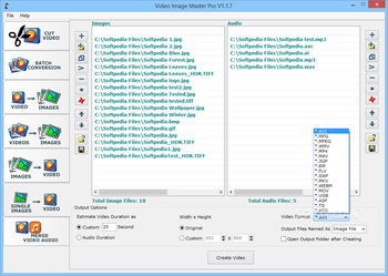 Video Image Master Pro screenshot 7