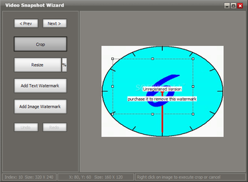 Video Snapshot Wizard screenshot 5