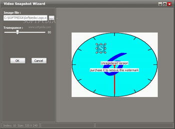 Video Snapshot Wizard screenshot 6