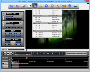 Video Surgeon screenshot 4