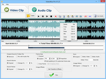 VideoMux Pro screenshot 2