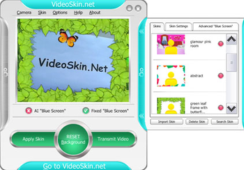 VideoSkin.Net screenshot