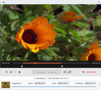VideoSolo Video to GIF Converter screenshot 2