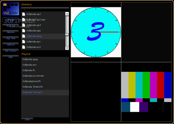 VidGridz screenshot