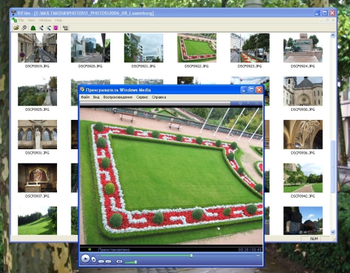 ViFilm screenshot