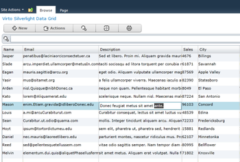Virto Silverlight Data Grid for SharePoint  2010 screenshot