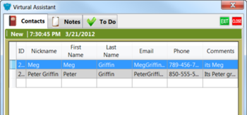 Virtual Assistant screenshot