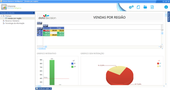Visione Business Intelligence  screenshot