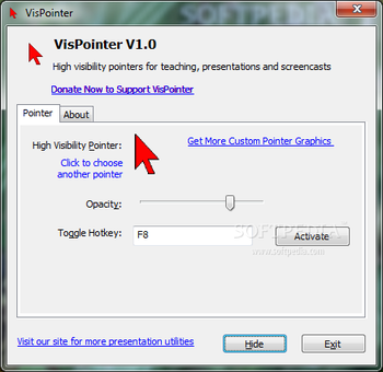 VisPointer screenshot