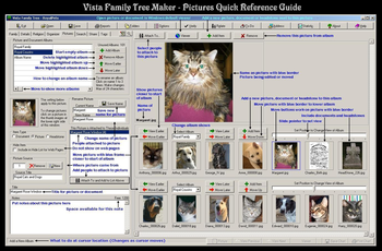 Vista Family Tree Maker screenshot 17