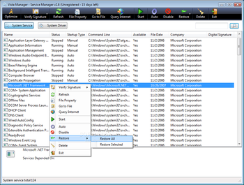 Vista Manager screenshot 22