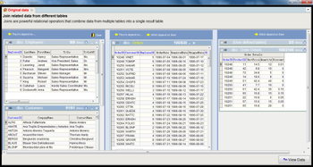 Visual Database Analyzer screenshot 3