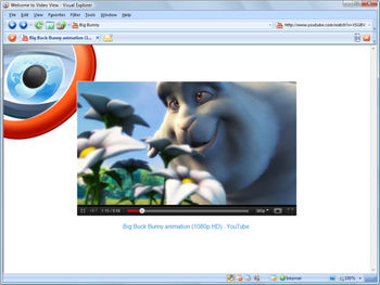 Visual Explorer screenshot 2