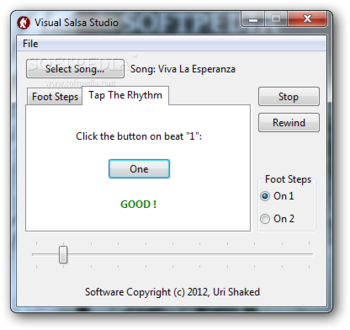 Visual Salsa Studio screenshot 2